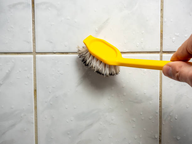Best Industrial Mold Remediation in Wells, NV